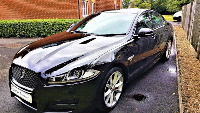 Jaguar edit fluturas